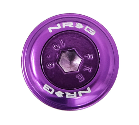 NRG Fender Washer Kit, Set of 10, Purple with Color Matched Bolts, Rivets for Plastic - FW-150PP